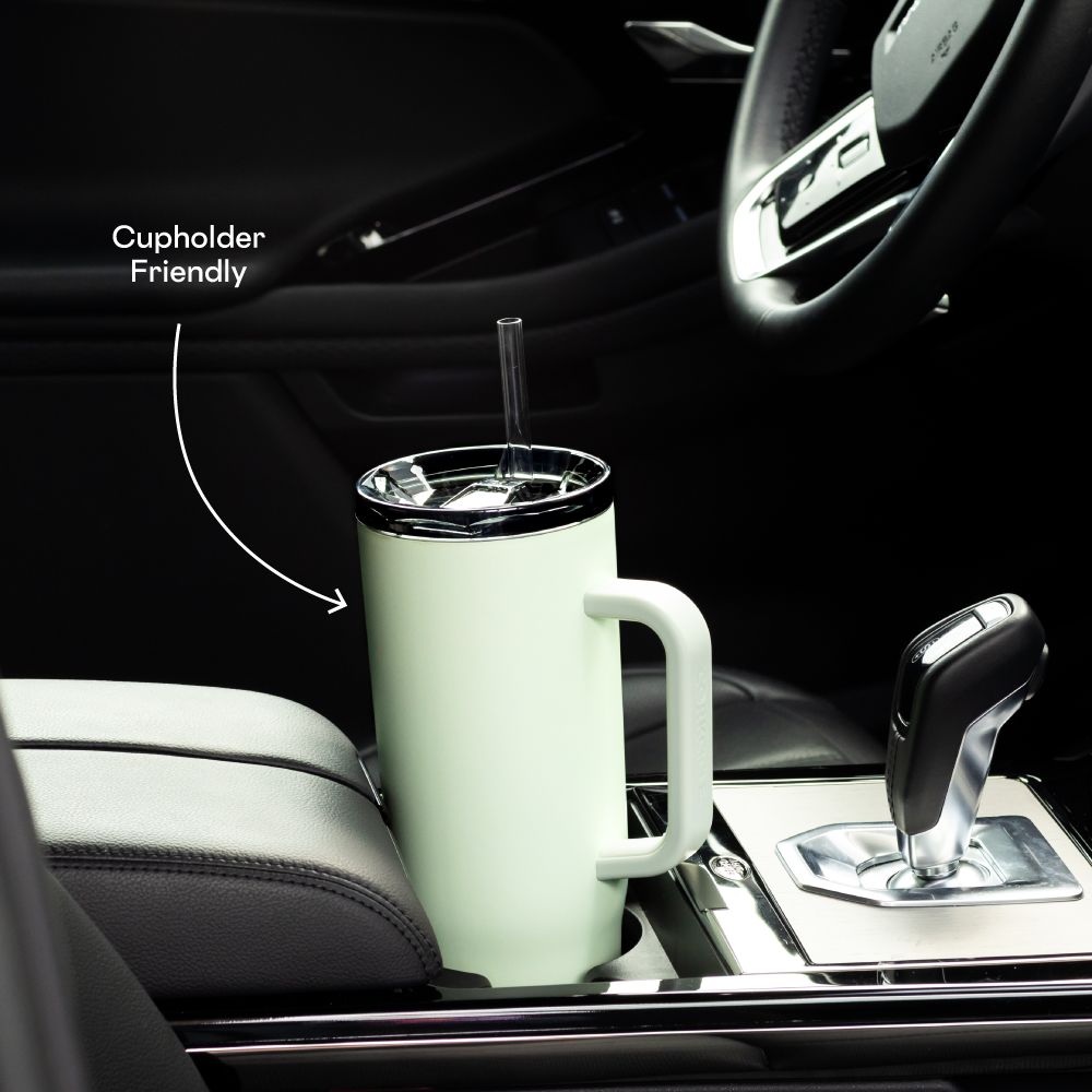 Cruiser - Daily Cup - Trail Travel