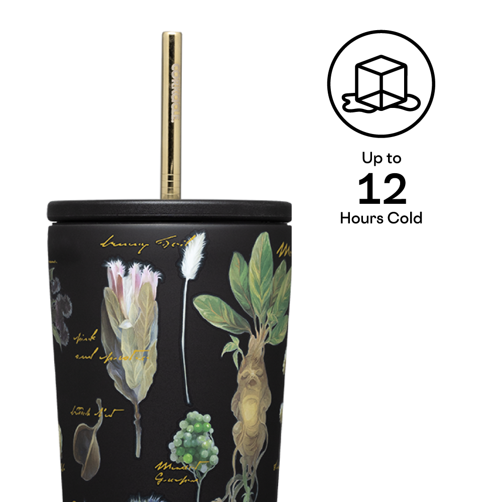 Harry Potter Cold Cup - Versatile Beverage - Classic Travel
