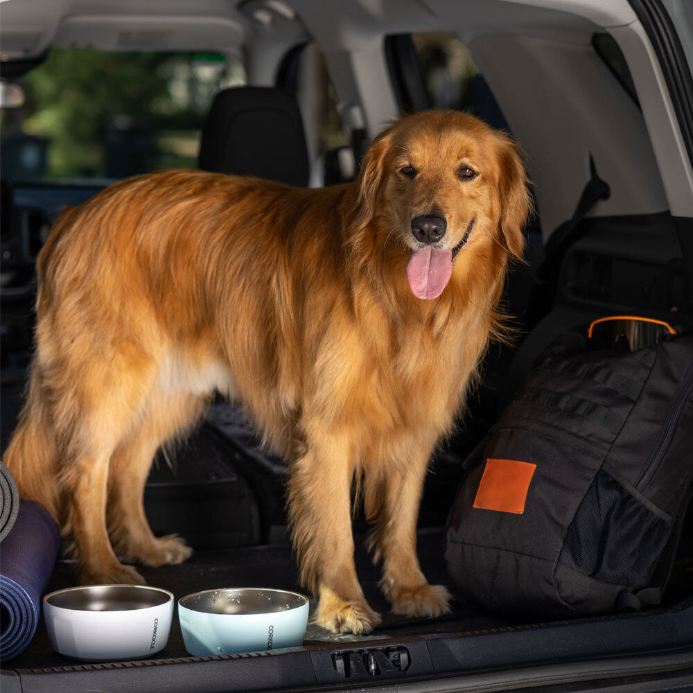Dog Bowl - Reliable Cup - Trail Refill