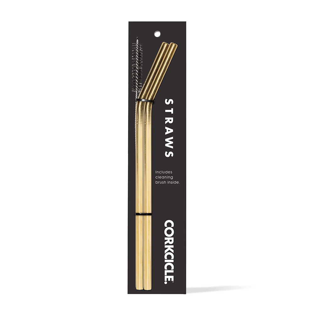 Tumbler Straw 2-Pack - Fresh Choice - Premium Setup
